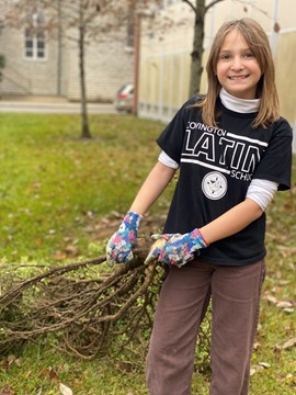 Girl wearing a black Covington Latin tshirt pulls a large branch across the grass.